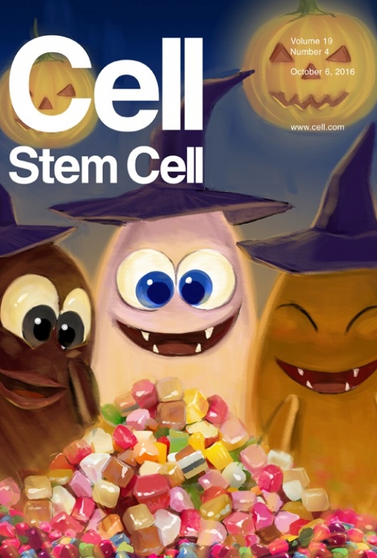 cell-stem-cell-19-530-543-2016-n204c24468wlvt6phzgjm3vnlj7oi3c405inh61s1s